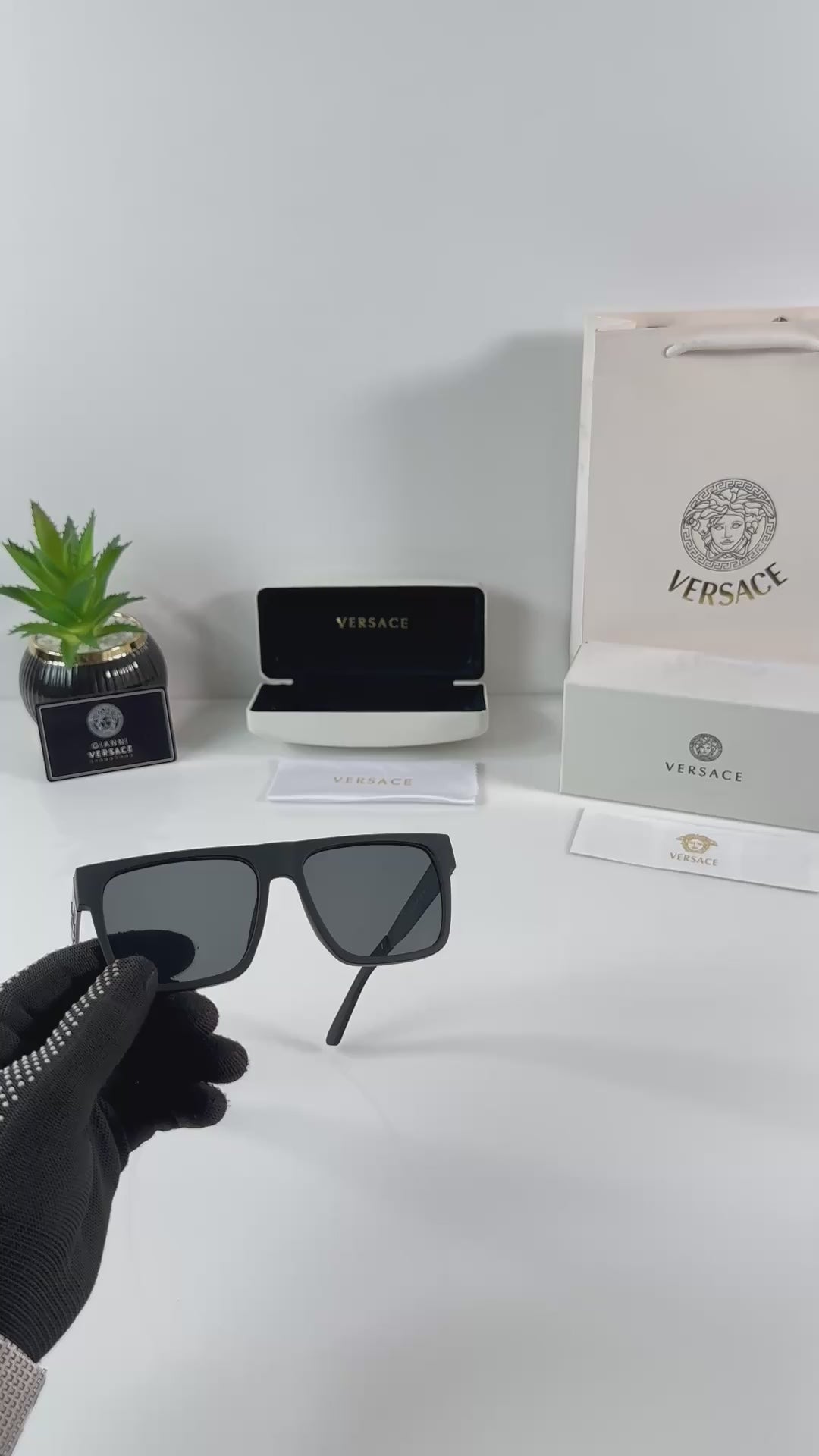 Versace 1101 Matte Black Sunglass