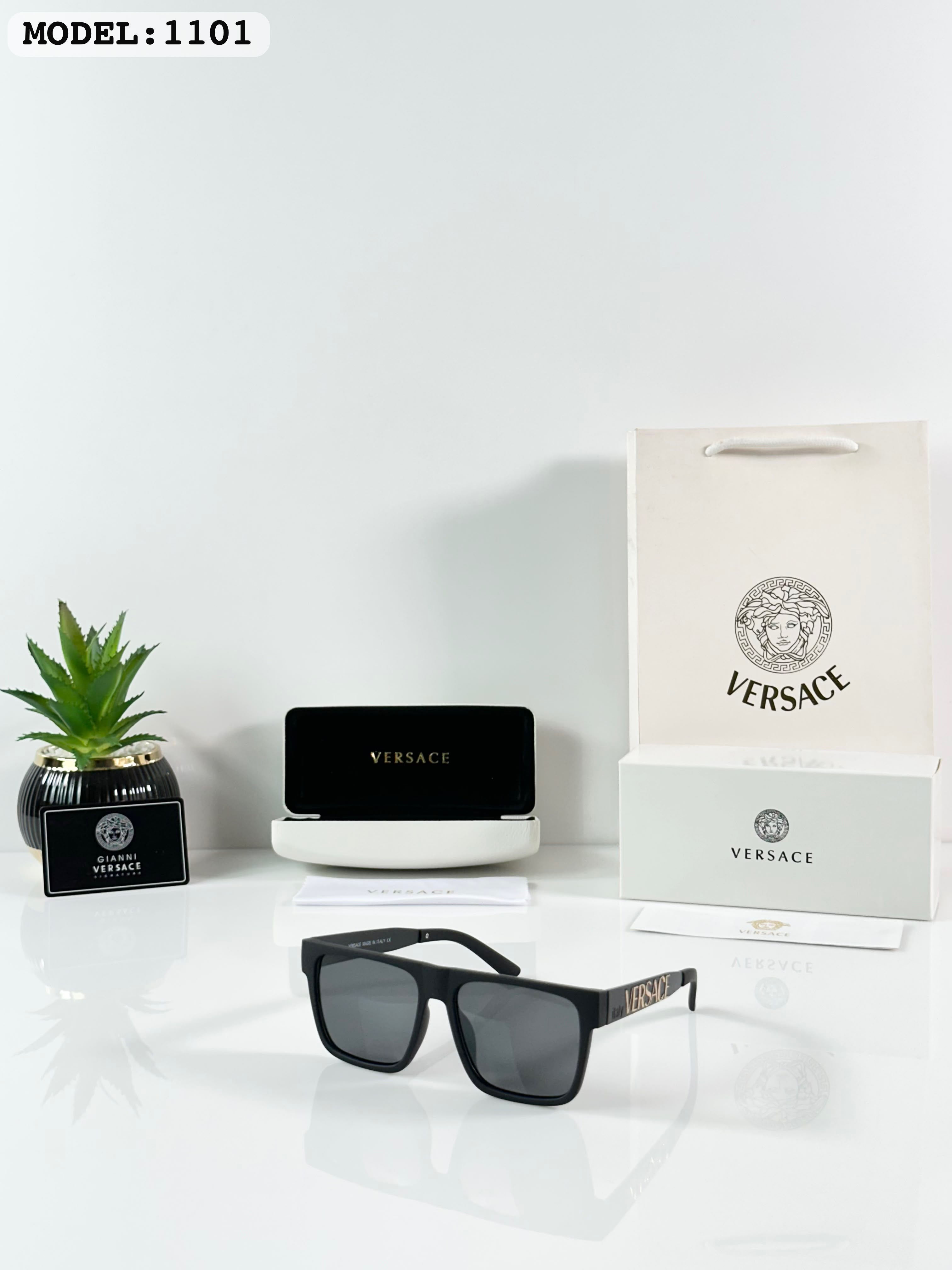 Versace 1101 Matte Black Sunglass