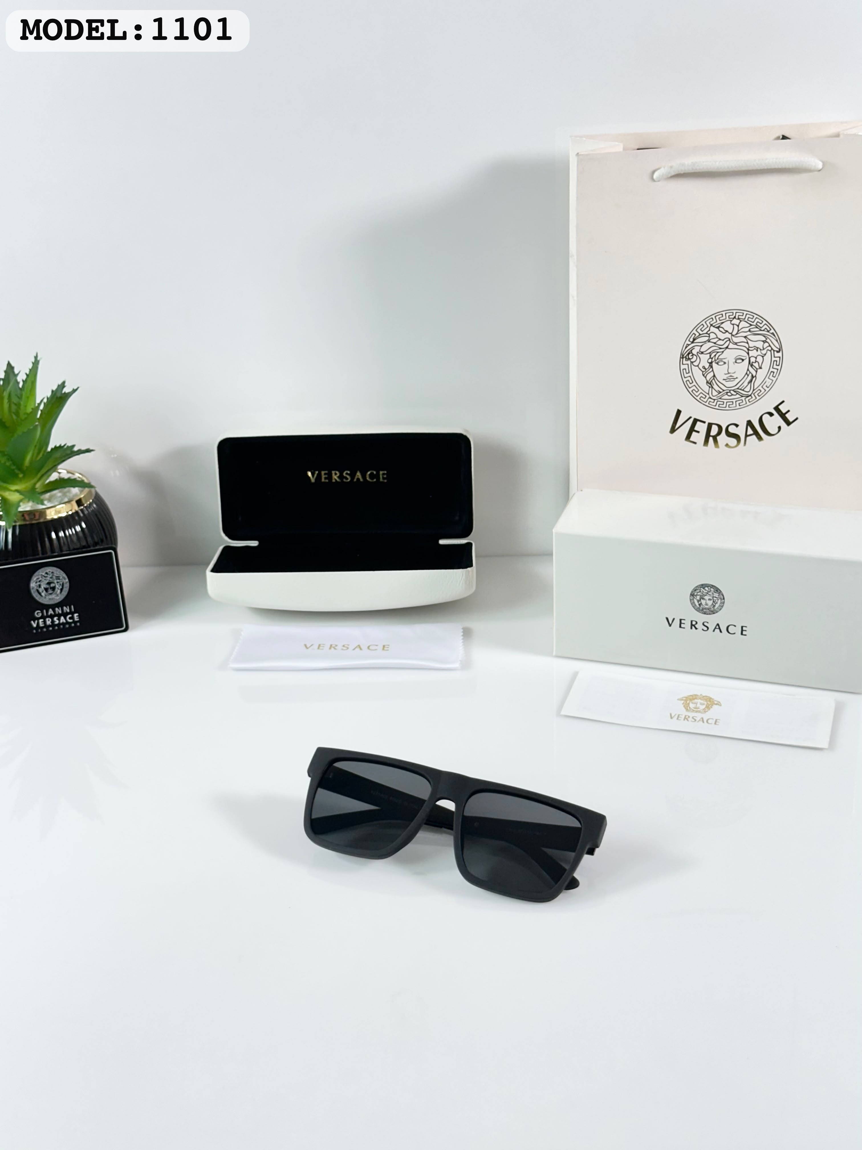 Versace 1101 Matte Black Sunglass